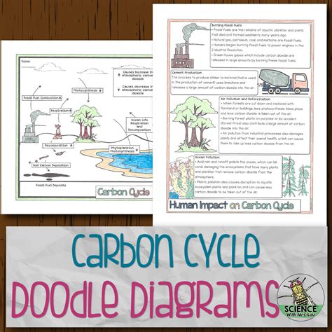 the carbon cycle worksheet emmatheteachie